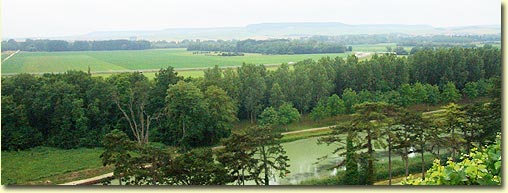 Philipponnat scenic view