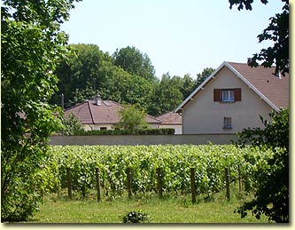 Jacquesson estate