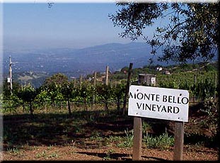 Monte Bello Vineyard