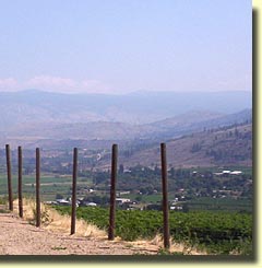 Domaine Combret and the Okanagan Valley in the background