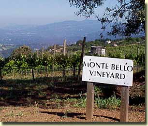Monte Bello Vineyard