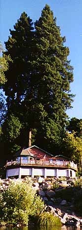 house view from the river