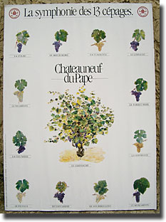 The 13 legal varietals of Chteauneuf du Pape