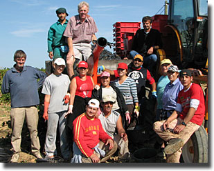 Harvest crew