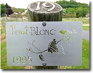 oldest Pinot Blanc vineyard in Michigan