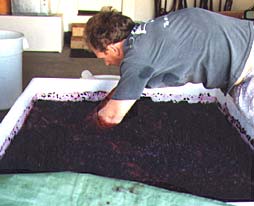 Mike making wine